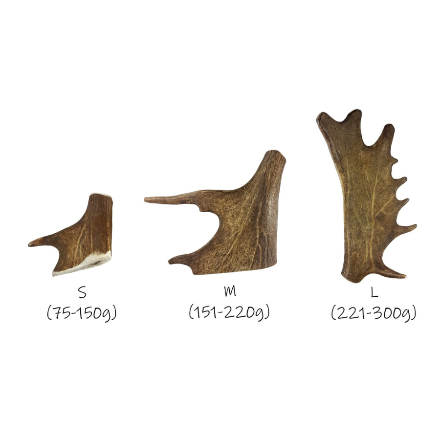 BIMORDISCOS Asta de gamo para perros, , large Imagen numero 2